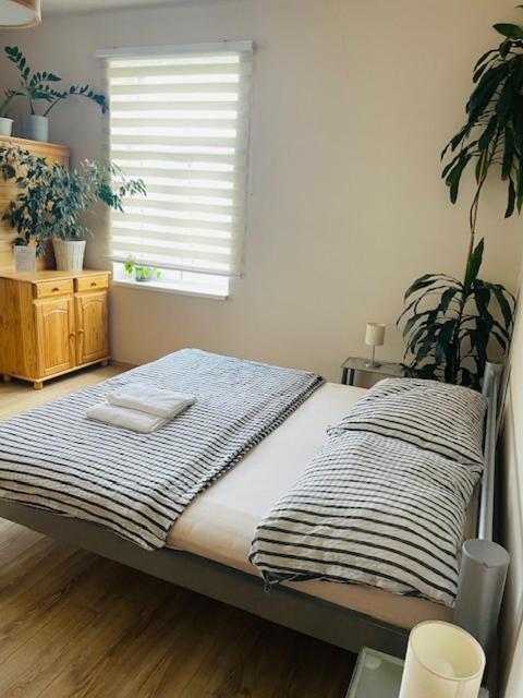 Apartman Lucian Prague Luaran gambar